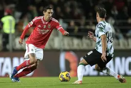 赛默飞官网热线